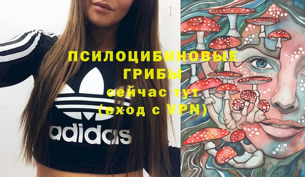 кристаллы Абаза